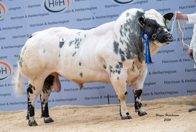 Solway View Unrivalled 12,000gns